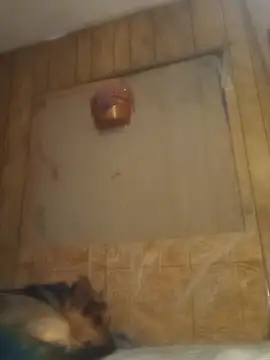 luke thighwalker2469 online show from 02-15-25, 01:16