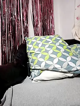 Snapshot of Joagorditahot chatting on 11-08-25, 11:30 Joagorditahot online show from 11-08-25, 11:30