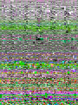 Wy1766 online show from 10-22-25, 09:24