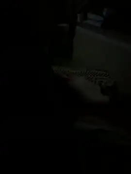 julia julia02 online show from 02-24-26, 03:18