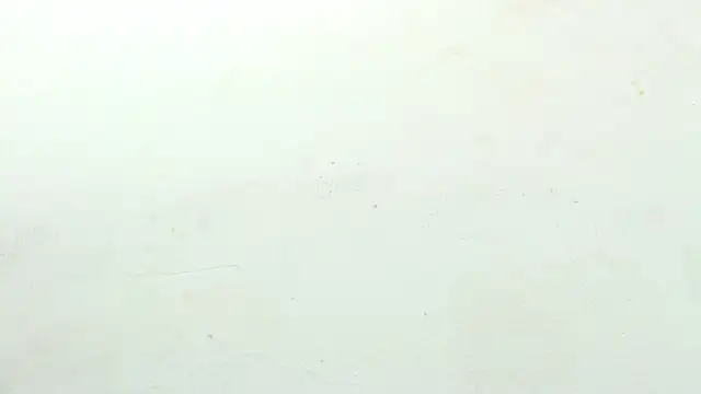 Snapshot of sinay024 chatting on 02-27-26, 08:03 sinay024 online show from 02-27-26, 08:03