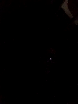 nevessartori online show from 01-18-25, 05:10
