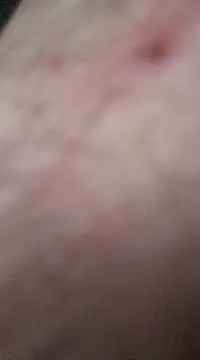 nevessartori online show from 12-27-24, 10:05