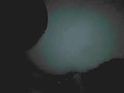 18cm2hrcarlos online show from 03-25-26, 04:12