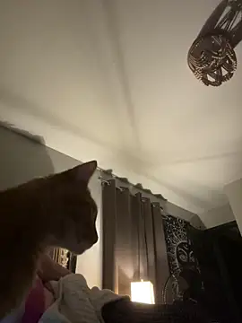 SmokingSloth online show from 11-13-25, 06:17