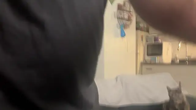 Snapshot of SpunCandy chatting on 02-28-26, 09:25 SpunCandy online show from 02-28-26, 09:25