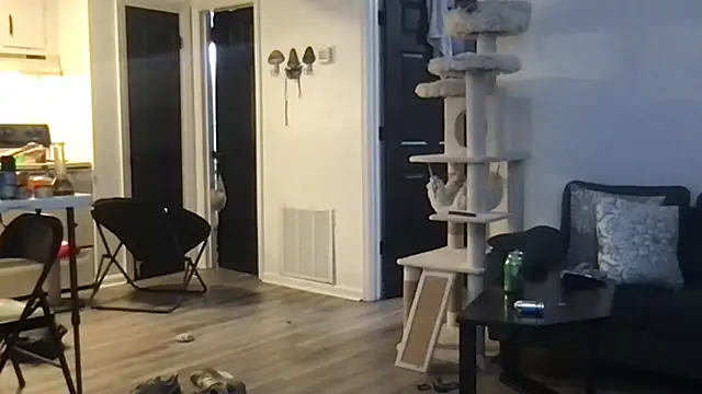 Snapshot of SpunCandy chatting on 10-01-25, 04:28 SpunCandy online show from 10-01-25, 04:28