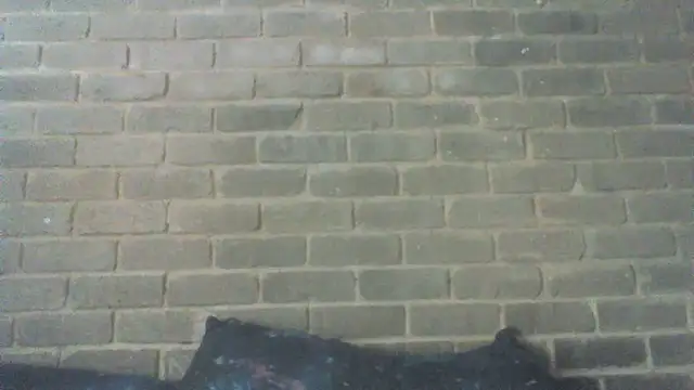 EksJouneMwah online show from 09-30-25, 09:37