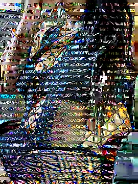 sneha rose online show from 09-17-25, 06:10