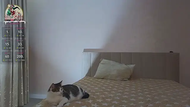 Sandrikta online show from 02-03-25, 07:42