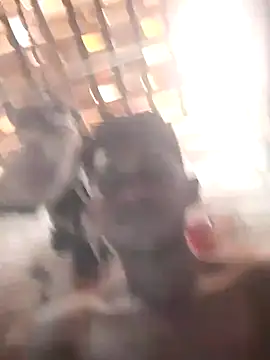 fudedor224 online show from 03-06-25, 05:54