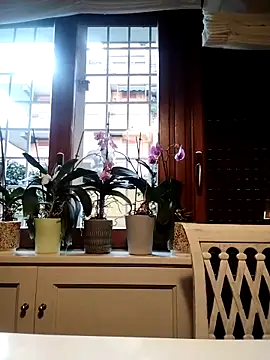 Frabox65 online show from 03-27-26, 06:00