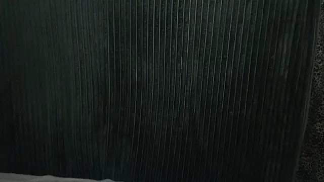 Snapshot of 1BECHA1 chatting on 12-03-25, 07:41 1BECHA1 online show from 12-03-25, 07:41