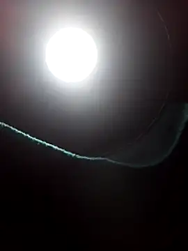 dangerman94 online show from 03-22-26, 06:15