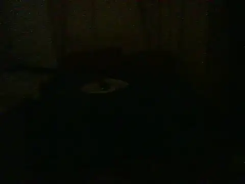 Snapshot of dangerman94 chatting on 09-10-25, 03:27 dangerman94 online show from 09-10-25, 03:27