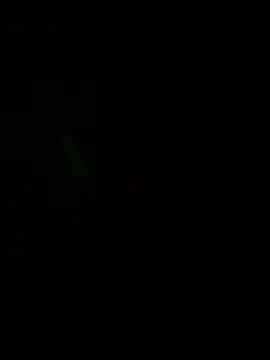 Snapshot of josle24 chatting on 12-08-24, 03:35 josle24 online show from 12-08-24, 03:35