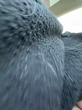 Snapshot of Giuliana_baby chatting on 03-21-26, 09:36 Giuliana baby online show from 03-21-26, 09:36