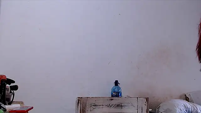 SusiDream online show from 03-14-26, 08:59