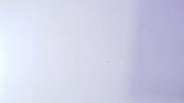 nicol f online show from 03-05-26, 03:14