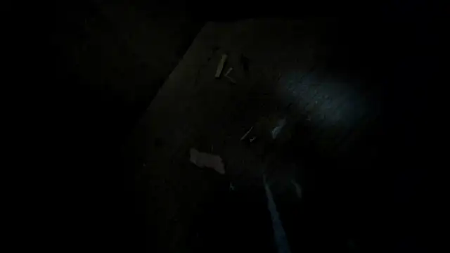 evely coelloo online show from 02-02-26, 01:59