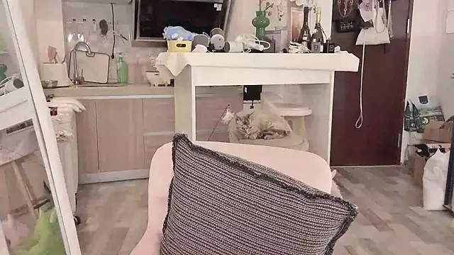 -XunMengLong- online show from 03-11-25, 07:47