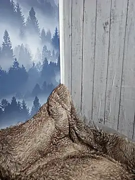 -Schweppes- online show from 03-02-25, 12:36