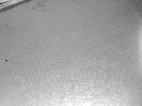 CafeCaliente69 online show from 12-06-24, 07:39