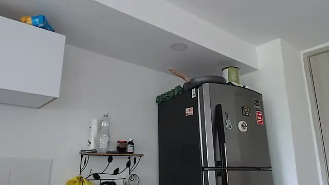 thomas gun online show from 02-03-26, 03:28