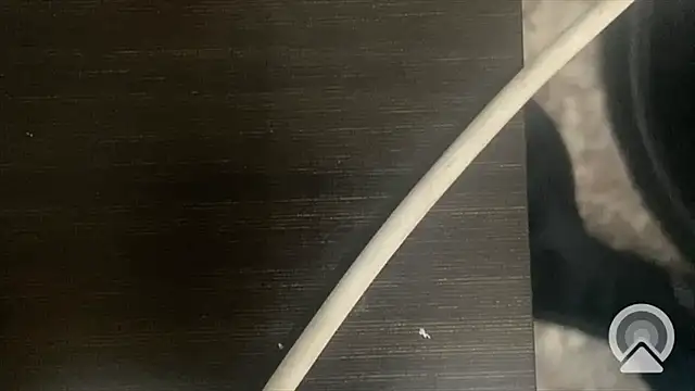 shuai321 online show from 02-13-25, 07:56