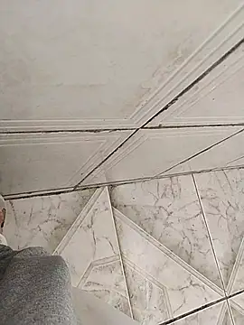 Snapshot of 244cachorro chatting on 10-02-25, 04:21 244cachorro online show from 10-02-25, 04:21