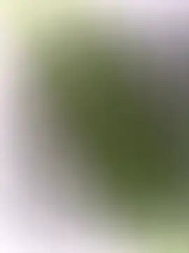 mrwright878787 online show from 12-27-24, 07:14