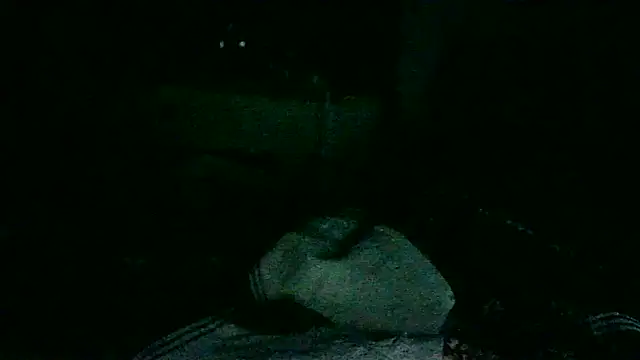 DI4MOND FIR3 online show from 11-18-25, 10:51