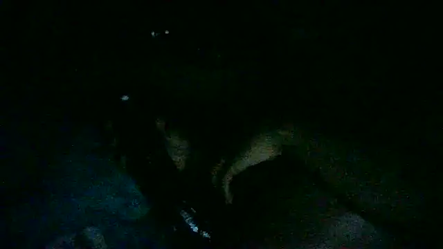 DI4MOND FIR3 online show from 11-07-25, 09:58