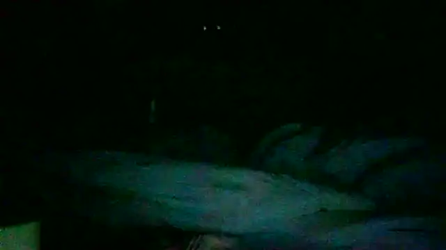 DI4MOND FIR3 online show from 11-27-25, 12:27