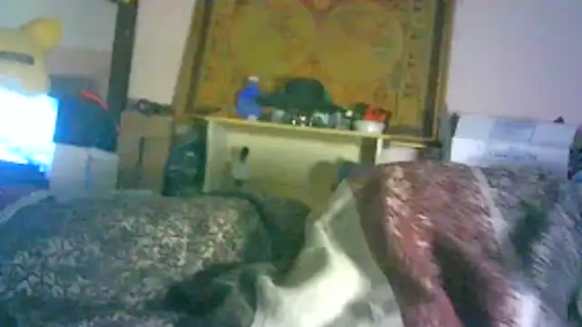 DI4MOND FIR3 online show from 02-03-26, 06:22