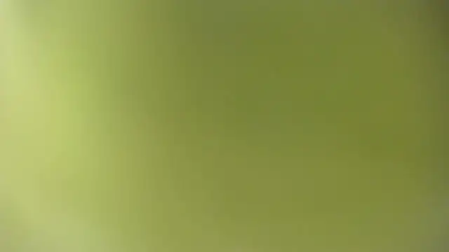 KOURTNEY-- online show from 09-28-25, 02:07