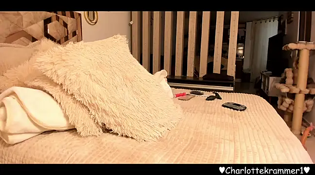 Snapshot of MisscharlotteK chatting on 03-02-25, 06:46 MisscharlotteK online show from 03-02-25, 06:46