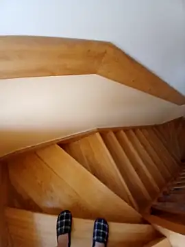 paradise777777 online show from 11-23-25, 09:08