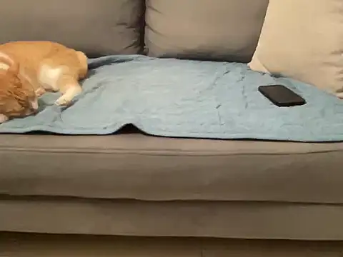 4small4inchlol online show from 11-14-25, 03:59