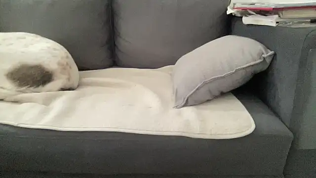 4small4inchlol online show from 06-26-26, 11:49