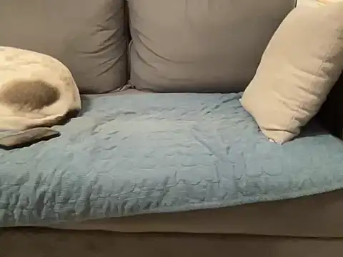 4small4inchlol online show from 02-20-26, 11:50