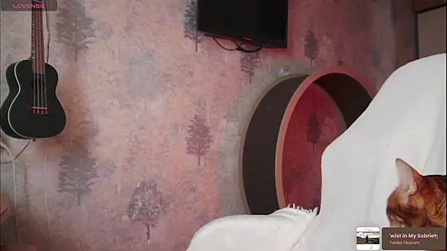 ms allison w online show from 02-19-26, 11:29