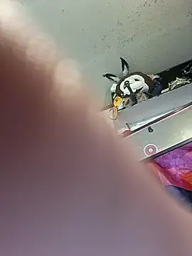 gettinit2wice online show from 03-11-26, 02:00