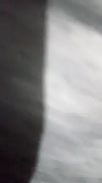 jaxyboys online show from 01-15-25, 04:11