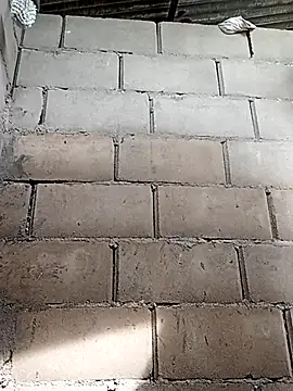 travieso2893 online show from 11-25-25, 06:52