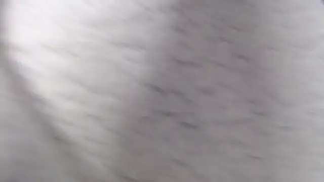 fk me good online show from 12-02-25, 04:52