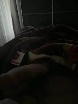 Serkan3356 online show from 11-13-25, 07:56