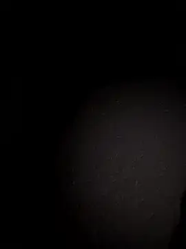 Metetededosmami online show from 01-11-26, 09:05