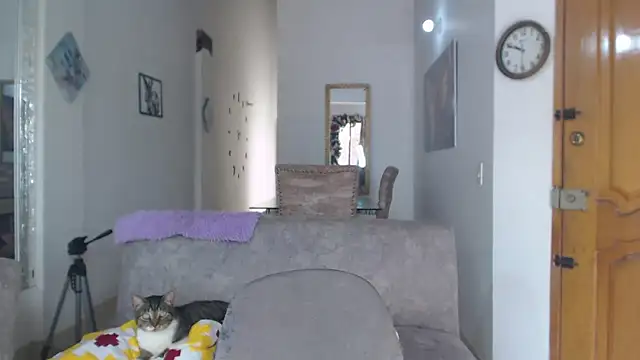 divinepleasury online show from 11-12-25, 03:49