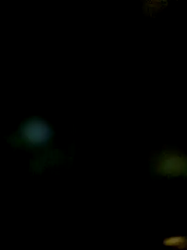 JAWHARA  online show from 12-14-25, 10:04